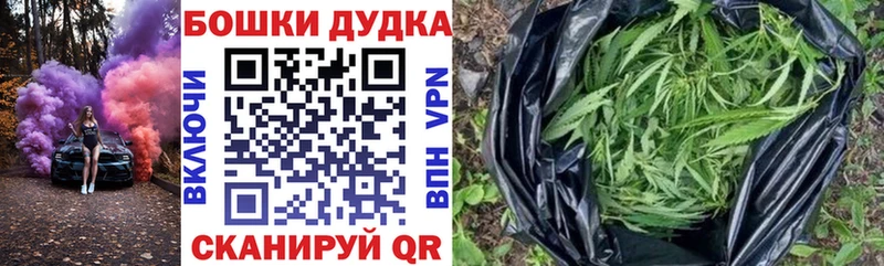 сайты даркнета как зайти  купить наркотики цена  Скопин  Марихуана сатива 